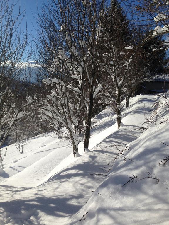 Chalet Eterlou Mégevette Eksteriør bilde